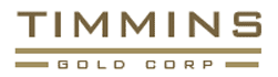 Timmons Logo